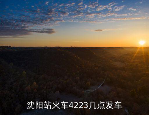 沈陽(yáng)站火車(chē)4223幾點(diǎn)發(fā)車(chē)