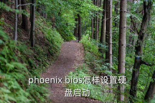 phoenix bios怎樣設置硬盤啟動