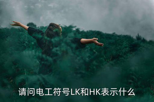 轉(zhuǎn)換開關(guān)電氣符號，請問電工符號LK和HK表示什么