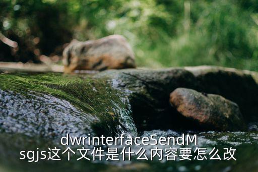 dwrinterfaceSendMsgjs這個文件是什么內(nèi)容要怎么改