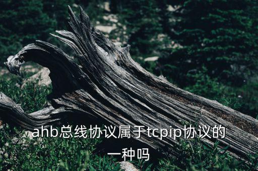 ahb總線協(xié)議屬于tcpip協(xié)議的一種嗎