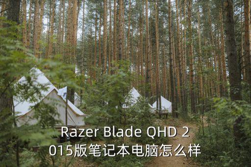 Razer Blade QHD 2015版筆記本電腦怎么樣