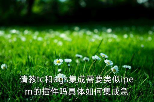 請教tc和ugs集成需要類似ipem的插件嗎具體如何集成急