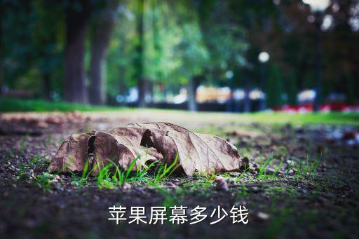 蘋果屏幕多少錢