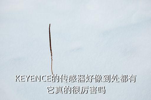 KEYENCE的傳感器好像到處都有它真的很厲害嗎