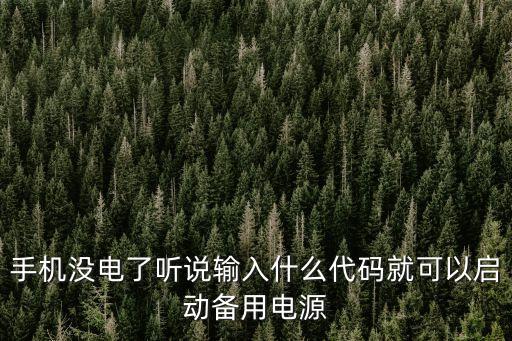 手機(jī)沒(méi)電了聽(tīng)說(shuō)輸入什么代碼就可以啟動(dòng)備用電源