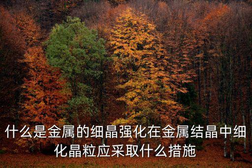 什么是金屬的細(xì)晶強化在金屬結(jié)晶中細(xì)化晶粒應(yīng)采取什么措施