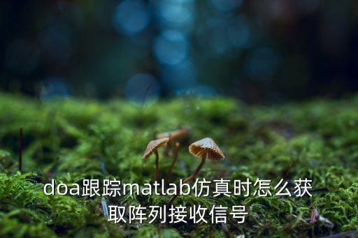 doa跟蹤matlab仿真時怎么獲取陣列接收信號