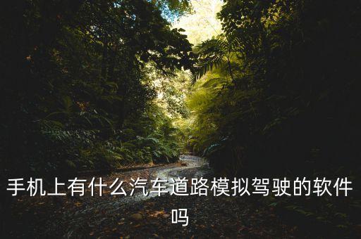 虛擬駕駛，除了三維導師 還有什么真實模擬駕駛的軟件嗎