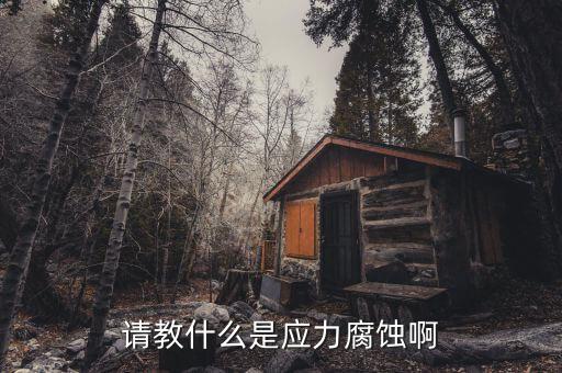 請(qǐng)教什么是應(yīng)力腐蝕啊
