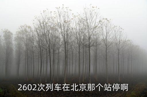 2602，2602次列車在北京那個(gè)站停啊