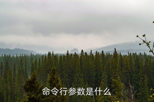 命令行參數(shù)，java命令行參數(shù)是什么意思