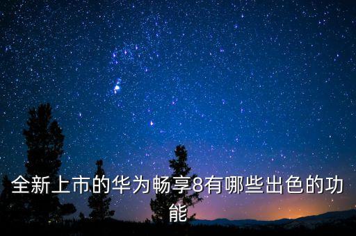 全新上市的華為暢享8有哪些出色的功能