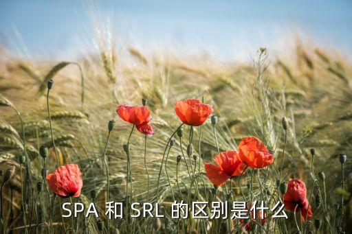 SPA 和 SRL 的區(qū)別是什么
