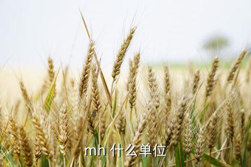 mh 什么單位
