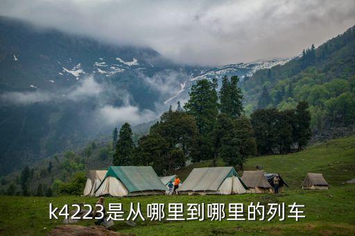 4223，K4223次列車在哪個站乘坐