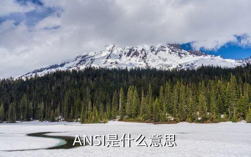 ansi，ANSI是什么意思
