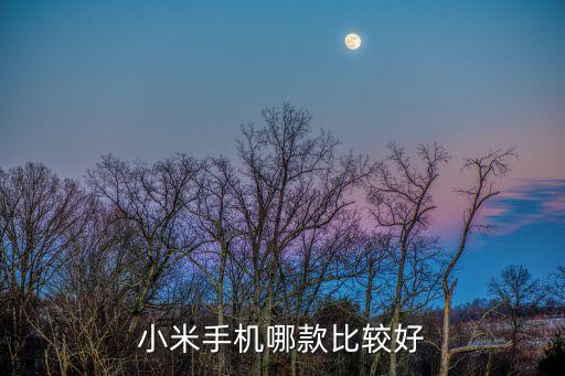 小米手機(jī)哪款比較好