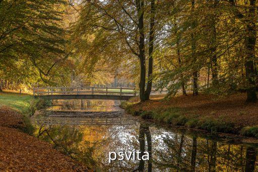 psvita