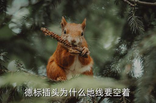德標插頭，上網(wǎng)查了一下俄羅斯通用德標歐標插頭德標插頭的百度百科上寫