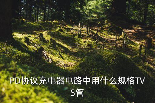 PD協(xié)議充電器電路中用什么規(guī)格TVS管