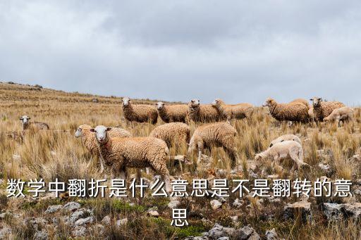 數(shù)學中翻折是什么意思是不是翻轉(zhuǎn)的意思