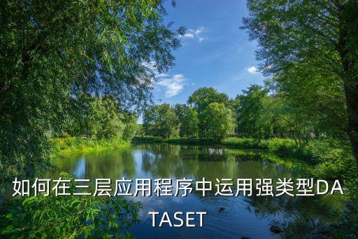 如何在三層應用程序中運用強類型DATASET