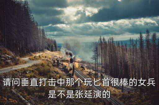 請(qǐng)問(wèn)垂直打擊中那個(gè)玩匕首很棒的女兵是不是張延演的