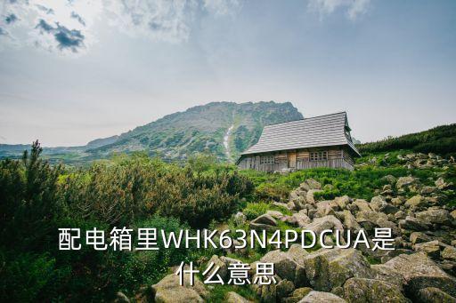 配電箱里WHK63N4PDCUA是什么意思