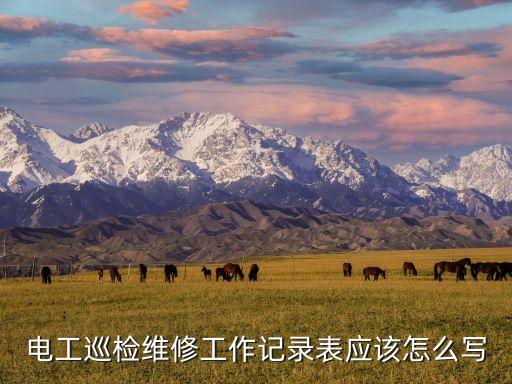電工巡檢維修工作記錄表應(yīng)該怎么寫