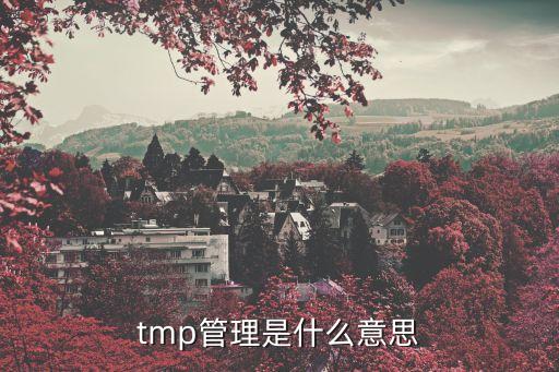 tmp管理是什么意思