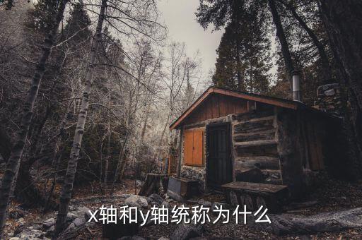 x軸和y軸統(tǒng)稱為什么