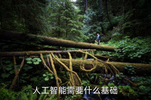 人工智能需要什么基礎(chǔ)