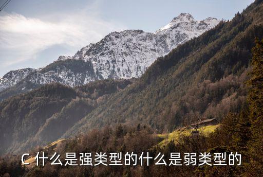 強(qiáng)類(lèi)型，如何在三層應(yīng)用程序中運(yùn)用強(qiáng)類(lèi)型DATASET