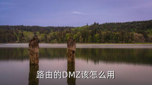 路由的DMZ該怎么用