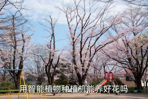 智能種植，用智能植物種植機(jī)能養(yǎng)好花嗎