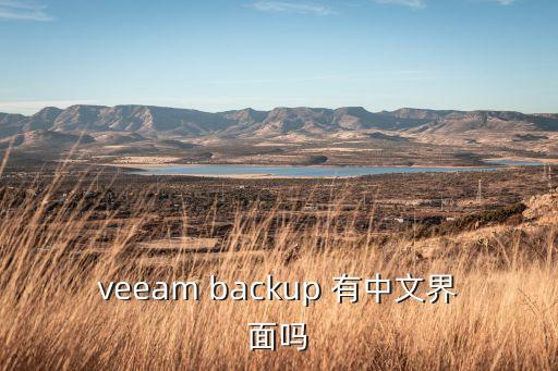 veeam backup 有中文界面嗎