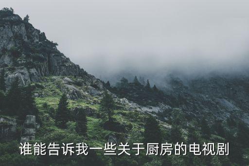 誰(shuí)能告訴我一些關(guān)于廚房的電視劇