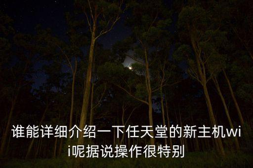 誰能詳細(xì)介紹一下任天堂的新主機(jī)wii呢?fù)?jù)說操作很特別