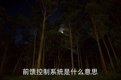 前饋控制系統(tǒng)是什么意思
