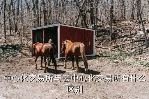 中心化交易所與去中心化交易所有什么區(qū)別