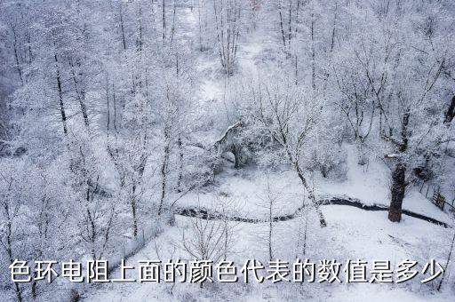 色環(huán)電阻上面的顏色代表的數(shù)值是多少