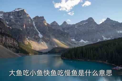 大魚吃小魚快魚吃慢魚是什么意思