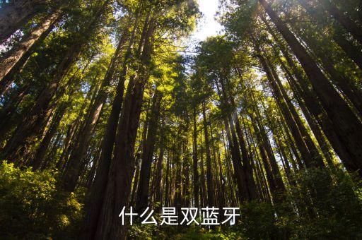 什么是雙藍(lán)牙