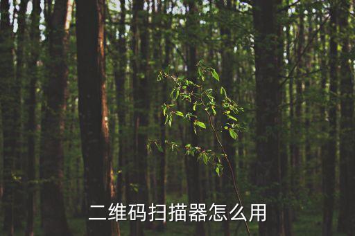 二維碼掃碼器，二維碼掃碼器工作原理