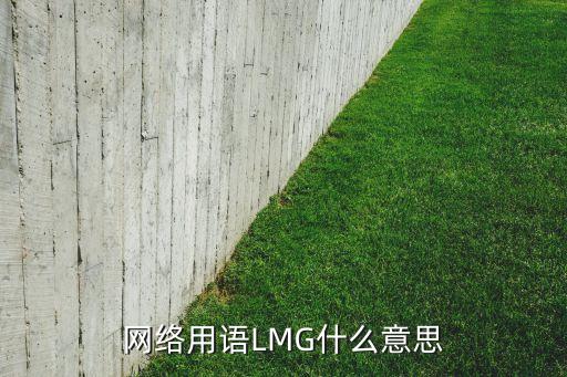 網(wǎng)絡(luò)用語LMG什么意思