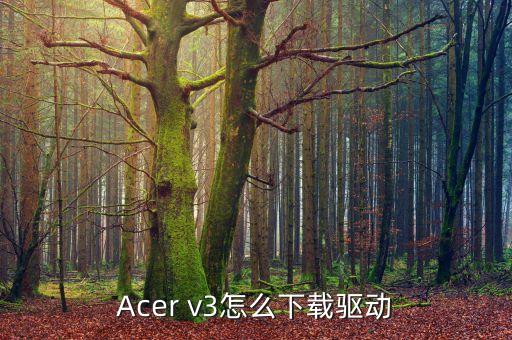 宏碁驅(qū)動下載，宏基電腦驅(qū)動怎么下載
