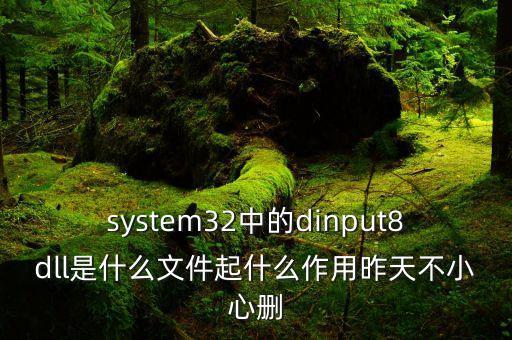 dinput8，system32中的dinput8dll是什么文件起什么作用昨天不小心刪