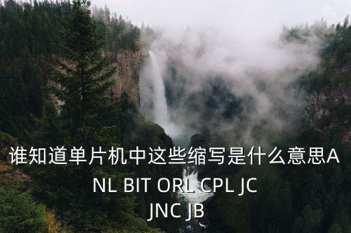誰知道單片機(jī)中這些縮寫是什么意思ANL BIT ORL CPL JC JNC JB
