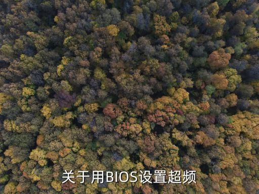 關于用BIOS設置超頻